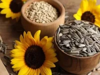 Sunflower Seeds